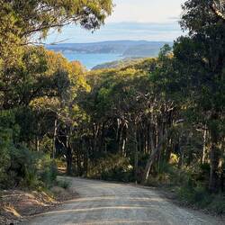 Lovely evening light. Last hill down to Middle Beach