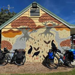 Australian public toilets are always beautiful. Particularly liked this one in Narooma.