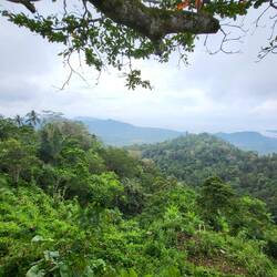 Letzter Ausbruch 2017