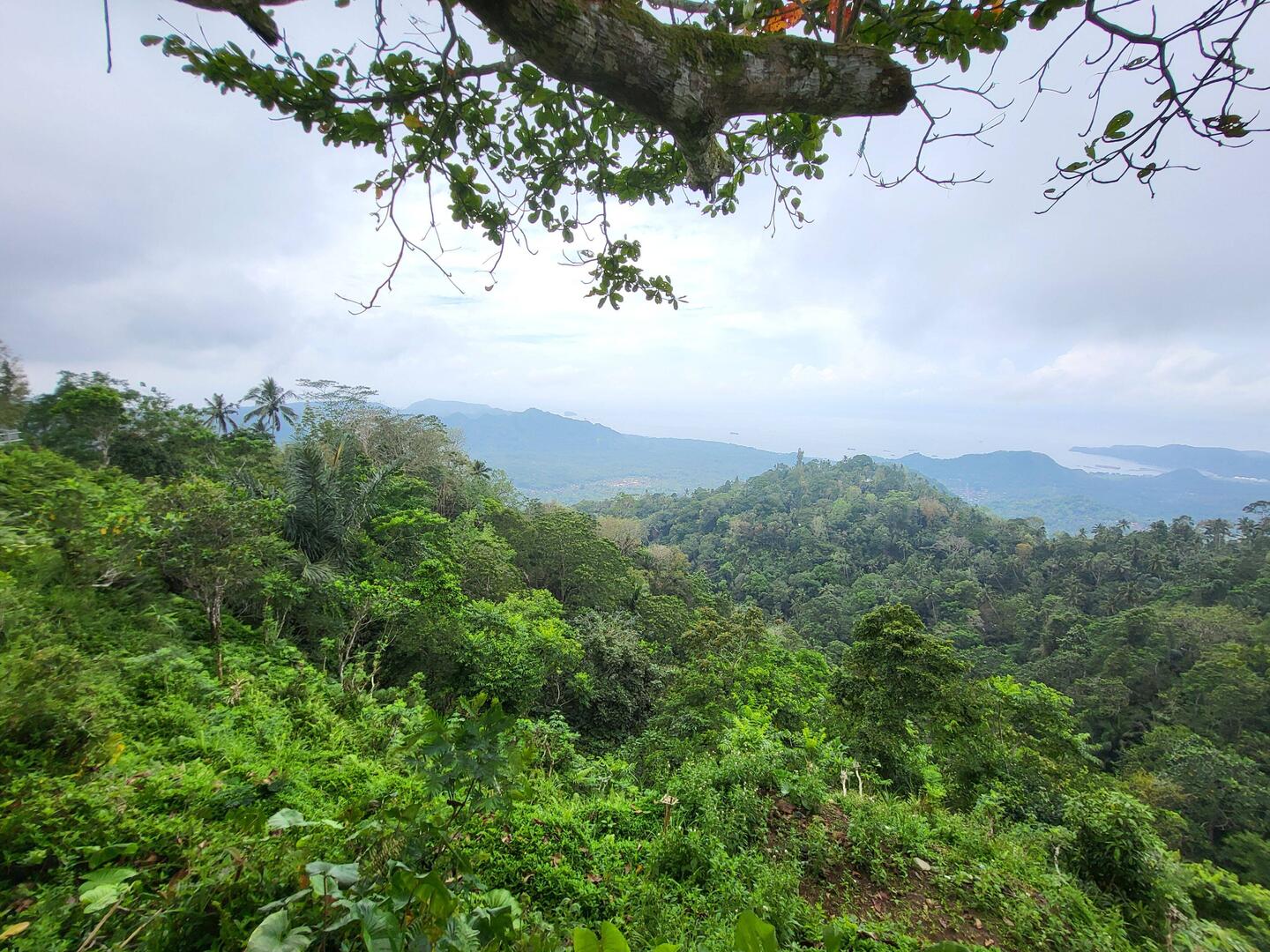 Hier ist es wirklich nirgendwo flach.