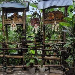 VOR JEDEM HAUS STEHT EIN TEMPEL