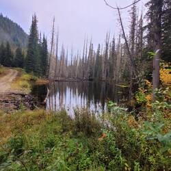 auf dem Weg zum Mud Lake