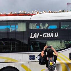 ..., ja wer lugt den da über die Reeling..., 🦆🦆🦆