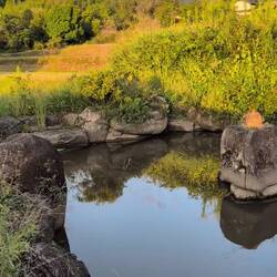 Die Musik spielt hier wirklich- es ist genau 17h