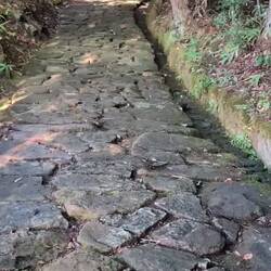 Das Originalpflaster