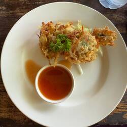 Vegetarian Fritter