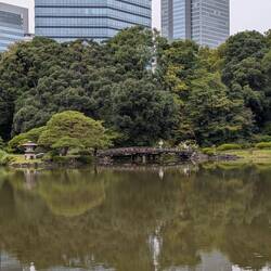 Shinjuku National gardens