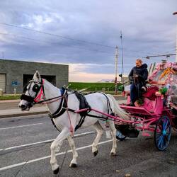 Auch die Kutschen sind sehr "stylish" 🙄