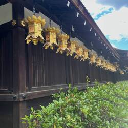 Gold lanterns in a line