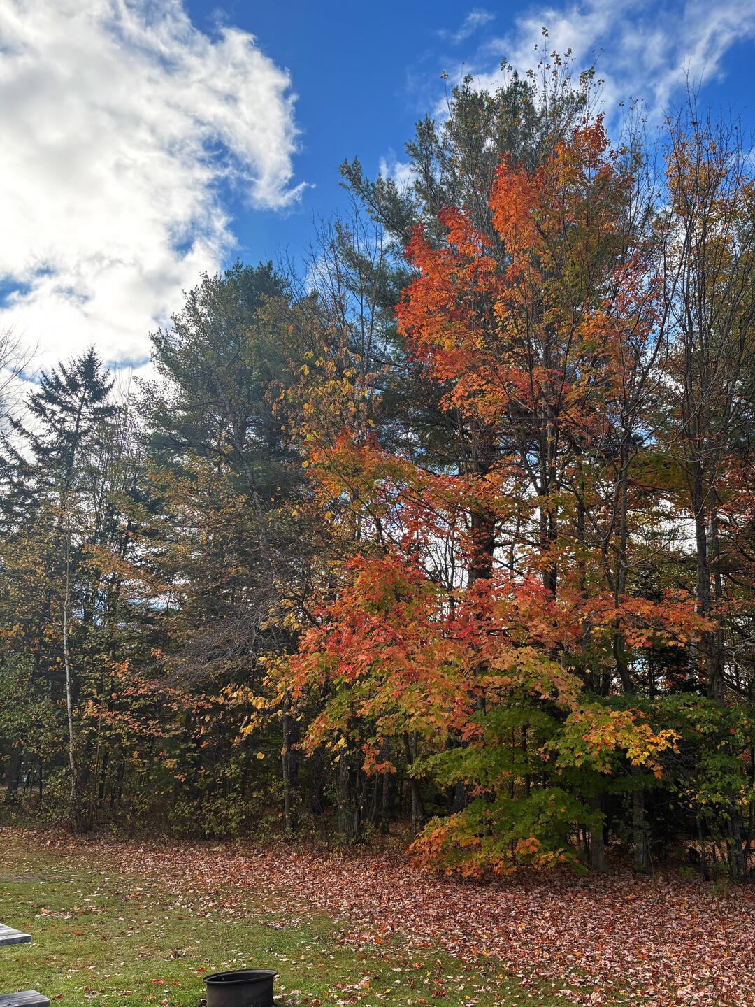 Fall is here!