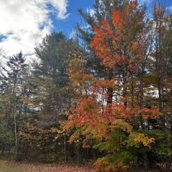Fall is here!