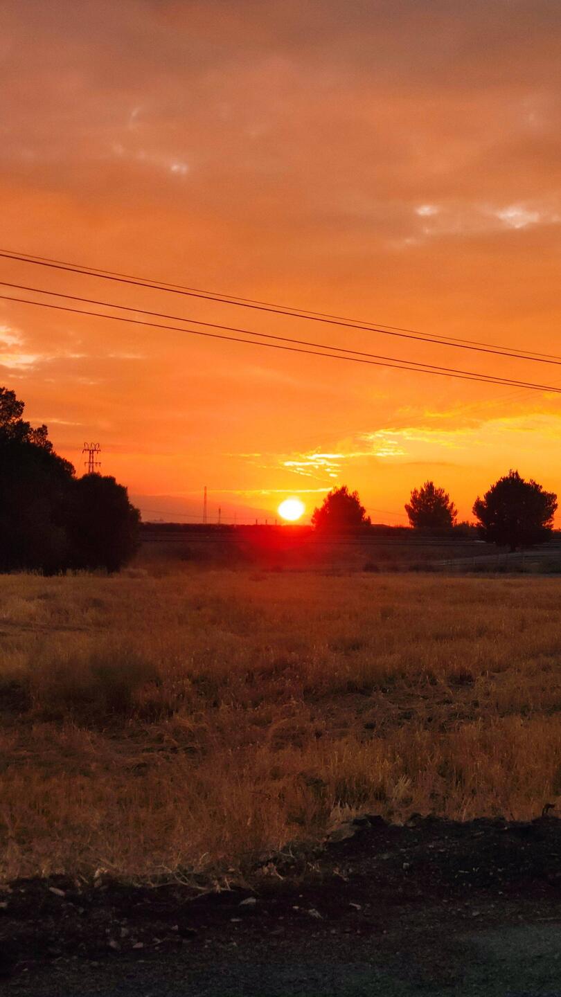 Guten Morgen 🌄