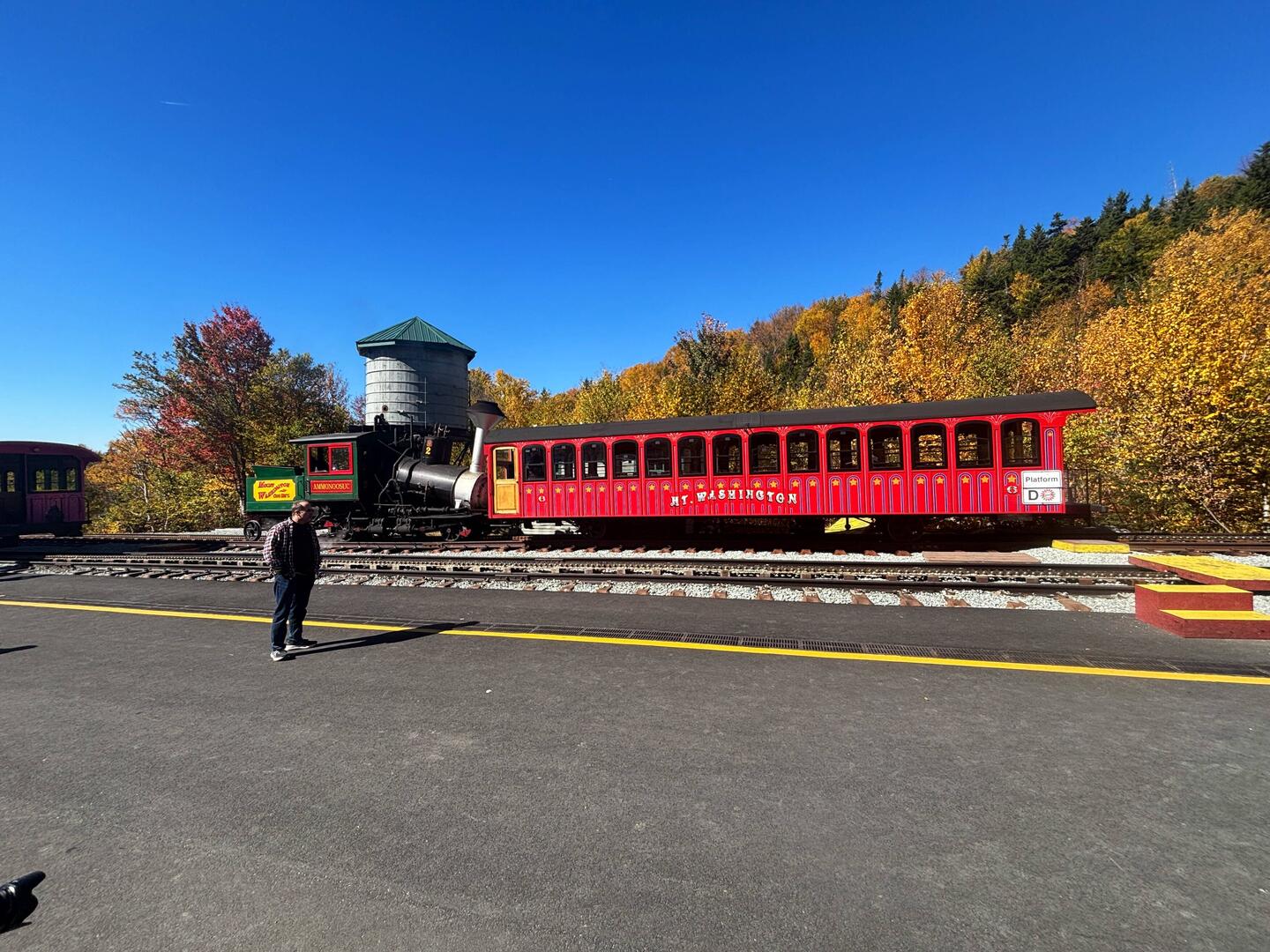 Steam Cog Train