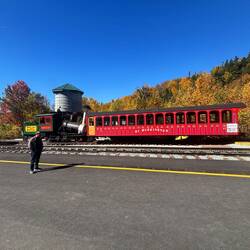 Steam Cog Train