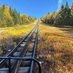 Fall color on the climb