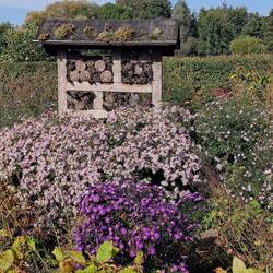 Garten beim Besucherzentrum