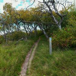 Im Trollwald Haverdal