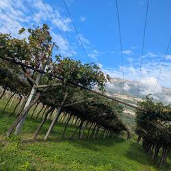 Da bekommt man Durst