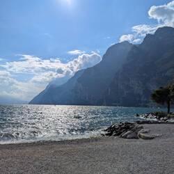 Es waren sogar welche schwimmen