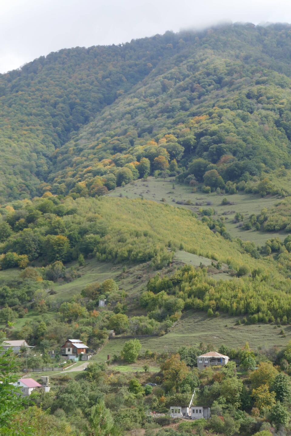 Forested Armenian Caucasus - foliage starting to change.