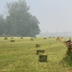 Very foggy starting out this morning.