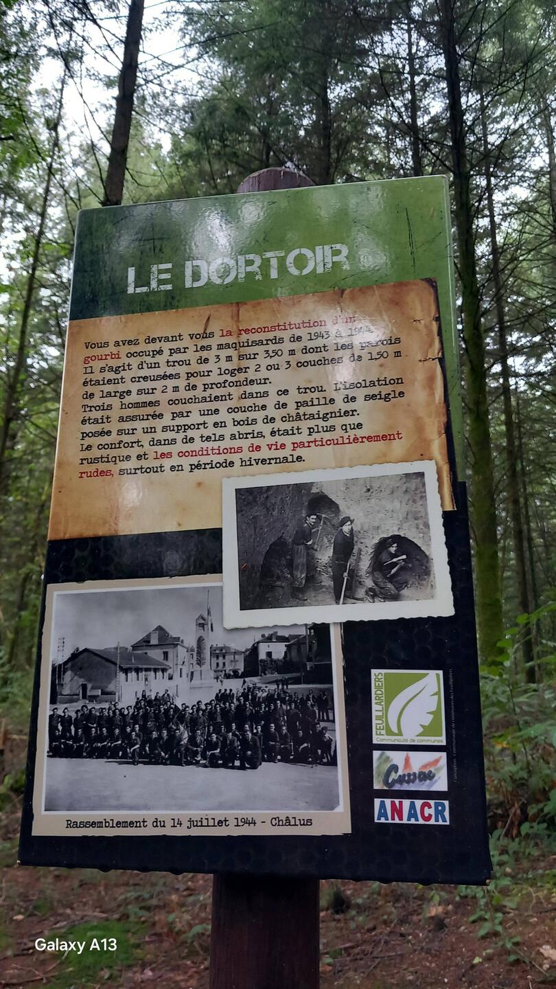 Conscientious objectors