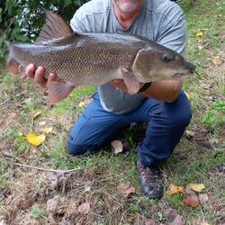 Marks barbel
