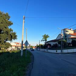 Can you see the yellow arrow that I'm supposed to follow?