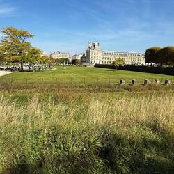 Our lunch venue on the left, Louvre across the park, 6 bee hives in front