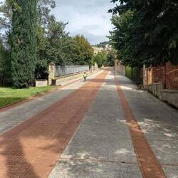 Montée sur Assise