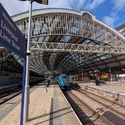 In der Limettenstraße angekommen