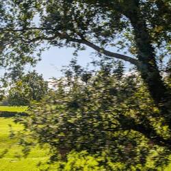 Liebliche Lamdschaft unterwegs