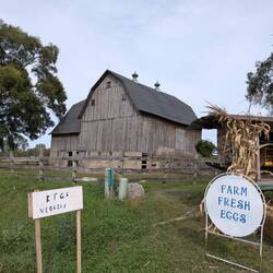 Rosie's photo. She purchased eggs for us.