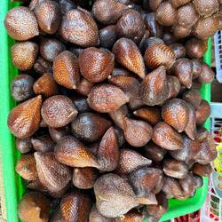 Snake Fruit/Salak