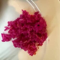 Dragon Fruit Rice