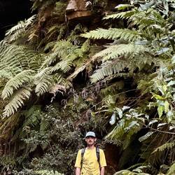 Oompa loompa in het regenwoud