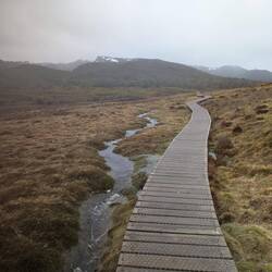 Overland track