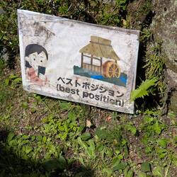 Kleiner Hinwris für Selfieanfänger 😂