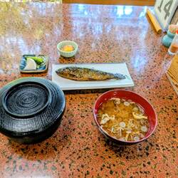 Mittag mit Forellchen