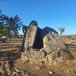 Anta 2 De Coureleiros
