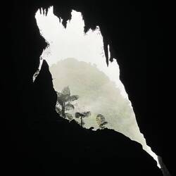 Deer cave