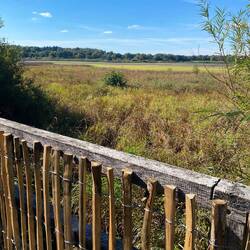 Die Nassauische Seenplatte ist jedoch fast vollständig trocken gefallen