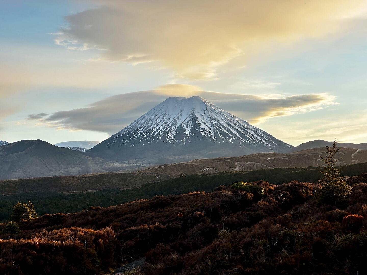 Juhuuu! Morgens ist er zu sehen!