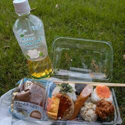 Bento