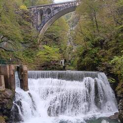 Near the end of the Vintgar Gorge hike