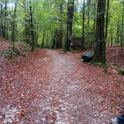 Part of the King of Triglav trail returning from Vintgar Gorge