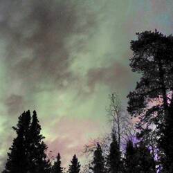 ...alles natürlich...