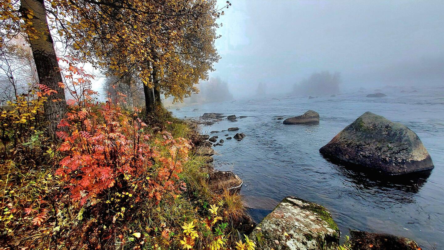 Herbst in Nordschweden....