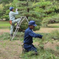 Echte Handarbeit an den Kiefern