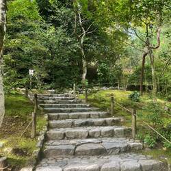 Stairway at the Temple